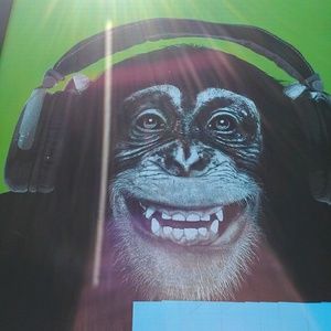 Meet your Posher, Sam